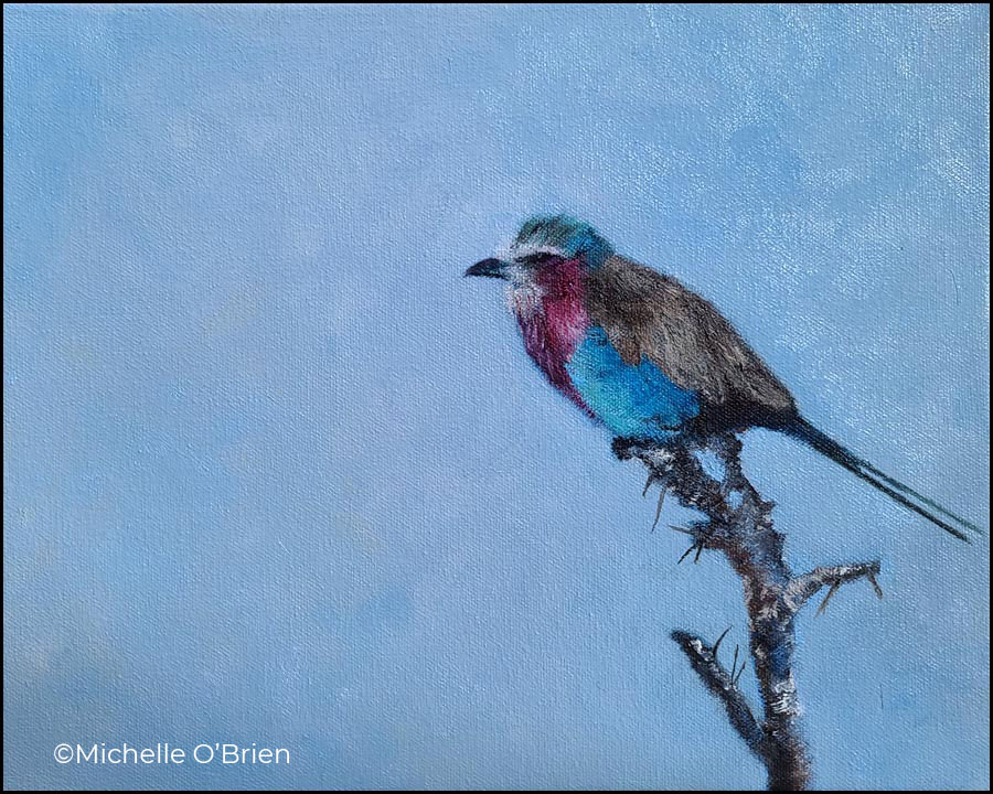 Lilac-breasted Roller